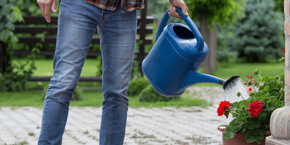 Royal City Nursery-Guelph-Ontario-Gardening in July-person watering flowers