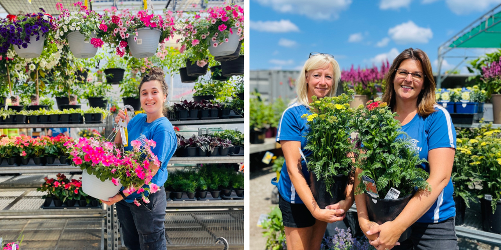 Royal City Nursery-Guelph-Ontario-Gardening in July-staff in nursery