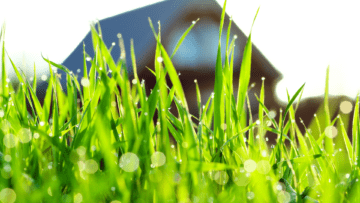 Royal City Nursery-Guelph-Ontario-Expert tips for fall lawn care