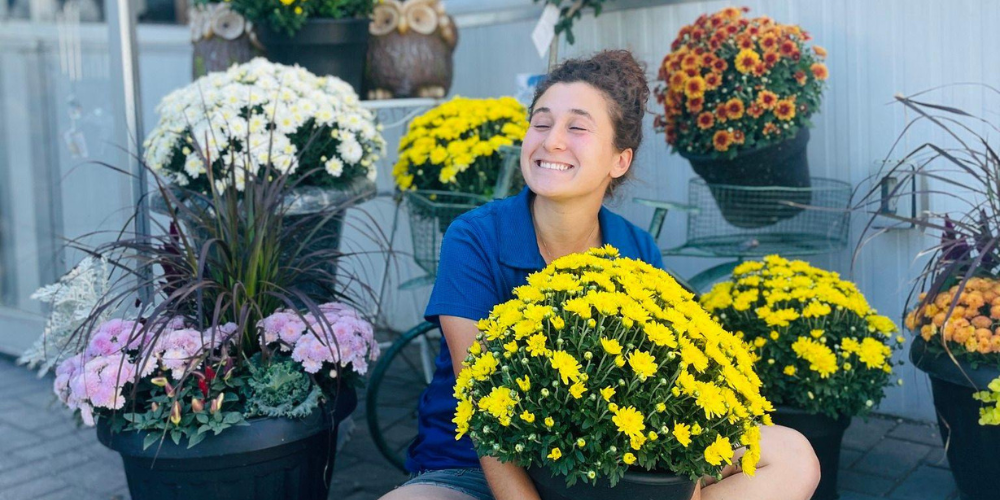 Royal City Nursery-Guelph Ontario-What to Do Now in the Fall Garden-chrysanthemum flowers