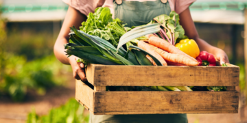 Royal City Nursery-Guelph Ontario-How to Have a Happy Harvest in Guelph-harvested vegetables