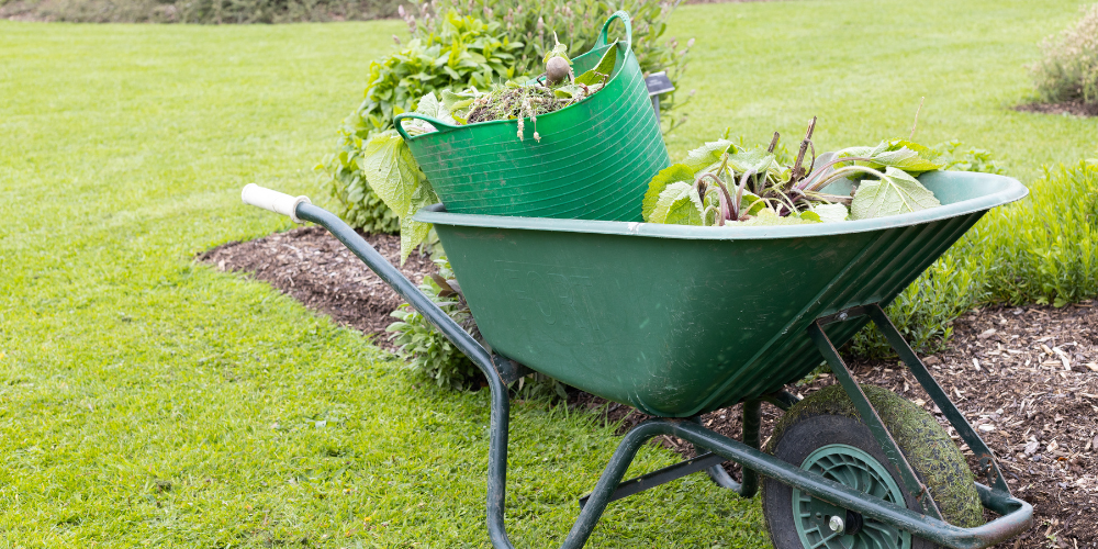 Royal City Nursery-Guelph-Ontario-October Garden Task Guide-collecting plant debris