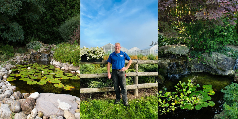 Royal City Nursery-Guelph-Ontario-October Garden Task Guide-pond closing seminar 2023