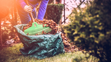 Royal City Nursery-Guelph-Ontario-Preparing Garden for Winter-raking leaves