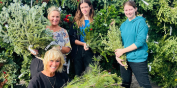 Royal City Nursery-Guelph Ontario-Holiday Greens Guide-assorted fresh greenery