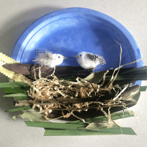 Royal City Nursery-Guelph-Ontario-Celebrate Winter Birds-bird nest plate craft