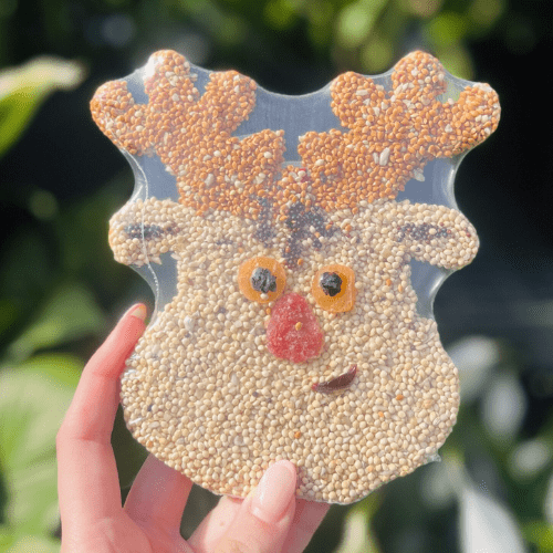Royal City Nursery-Guelph Ontario-Holiday Stocking Stuffers-bird cookies