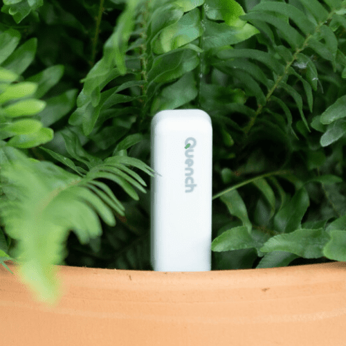 Royal City Nursery-Guelph Ontario-Holiday Stocking Stuffers-moisture metre