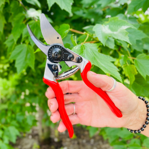 Royal City Nursery-Guelph Ontario-Holiday Stocking Stuffers-pruners