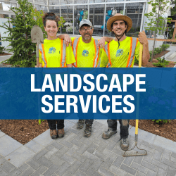 Landscape Services