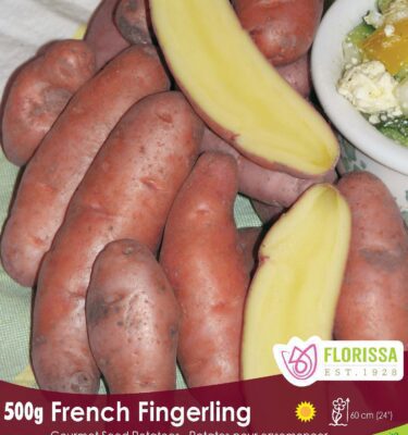Potato, French Fingerling