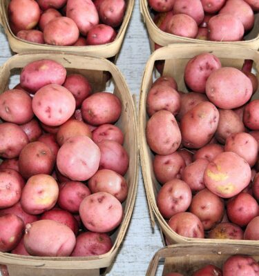 Potato, Sangre (Organic)