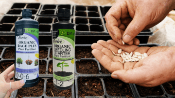 Seed Starting Fertilizer
