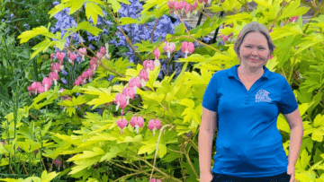 Kate Van Schaik / May 2025 Blog