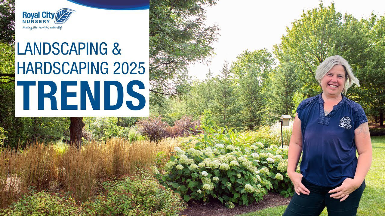 Landscaping & Hardscaping TRends 2025