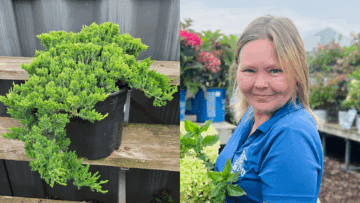 5 Expert-Approved Plants That Thrive in the Heat