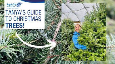 How to Read a Seed Packet