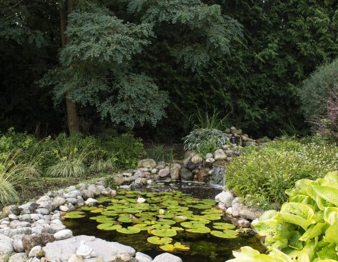 IMG_2077 Pond & Stream Building & Spring/Fall Maintenance