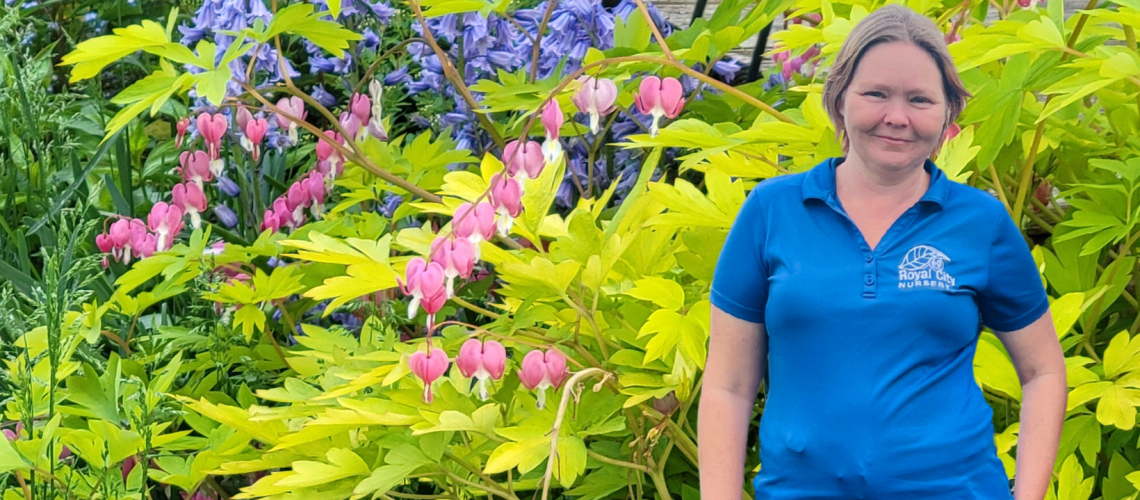 Kate Van Schaik / May 2025 Blog