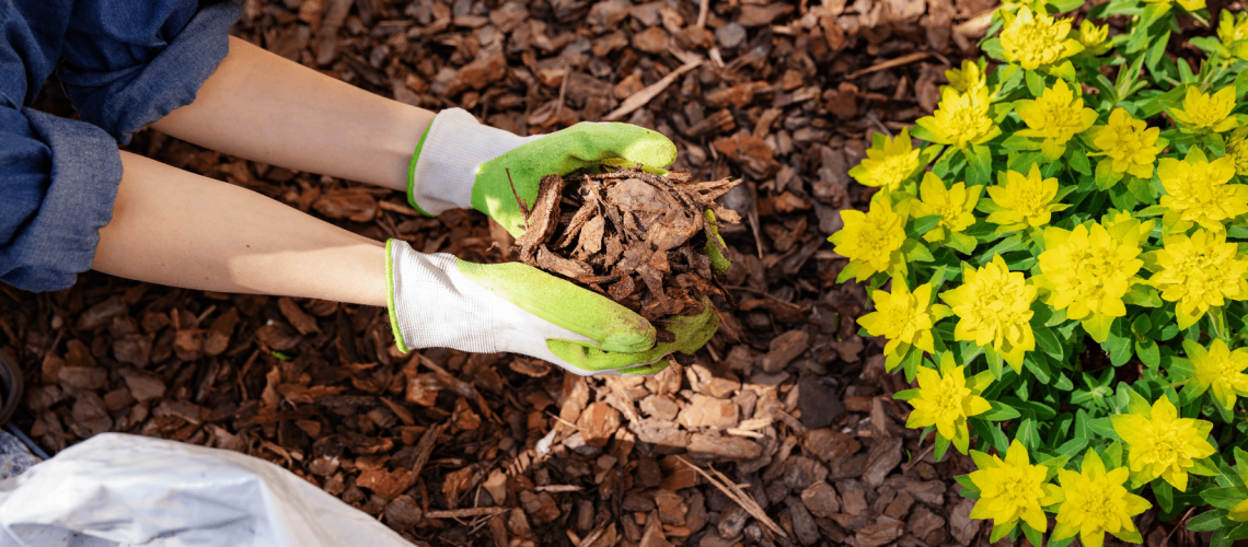 Mulching