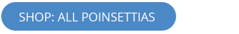 POINSETTIAS button
