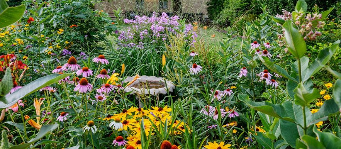 Royal City Nursery-Building a Pollinator Garden-native plants in garden
