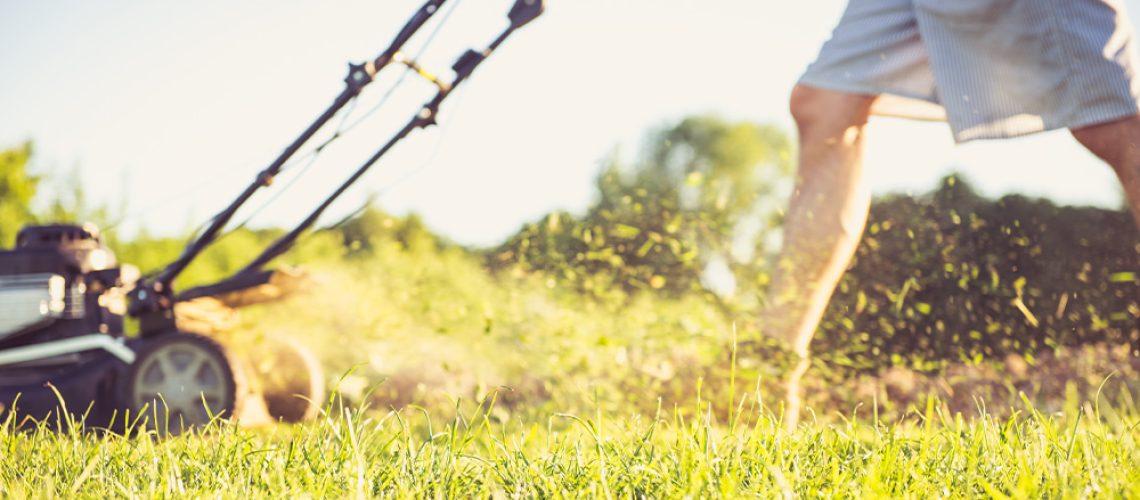 Royal City Nursery-Guelph-Ontario-Mowing the Lawn