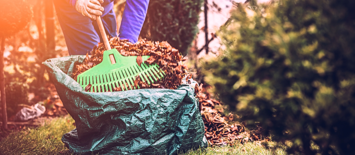 Royal City Nursery-Guelph-Ontario-Preparing Garden for Winter-raking leaves