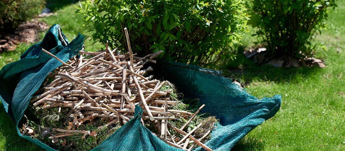 Royal City Nursery-Ontario-Fall Landscape Care Part 2-pruned tree debris in bag