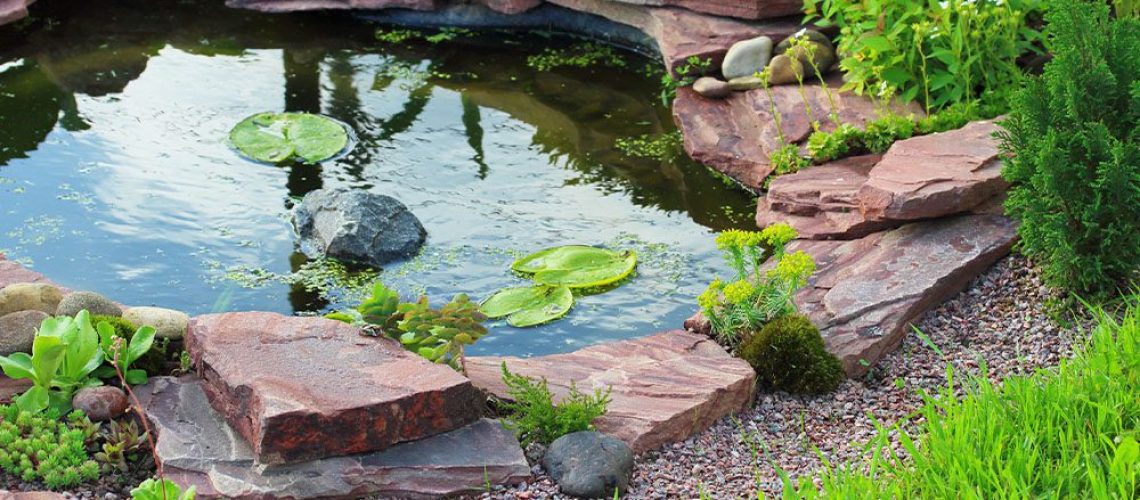 Royal City Nursery- Water Features to Try this Spring -peaceful pond in backyard