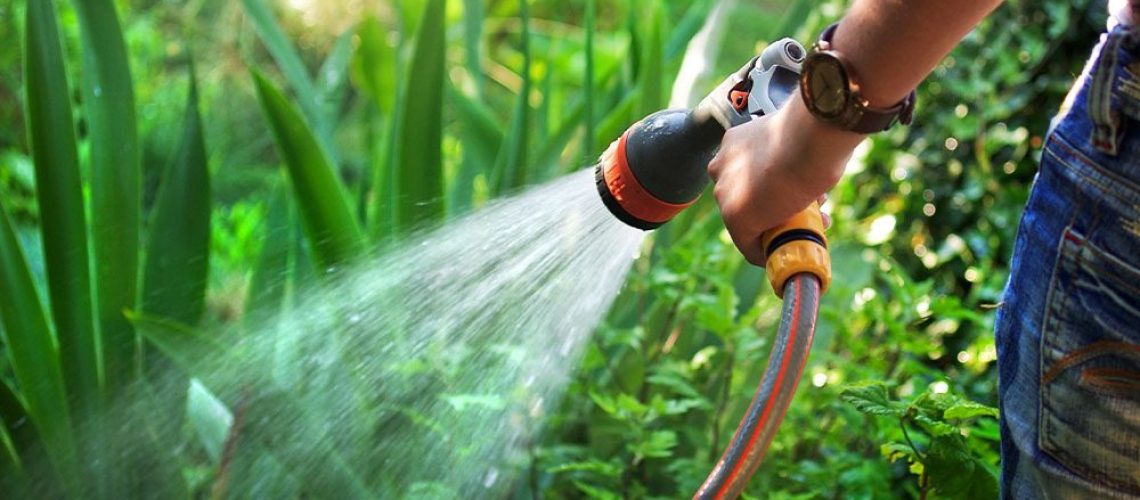 Royal City Nursery -Water Wise Gardening for Conservation in Guelph-watering garden with hose
