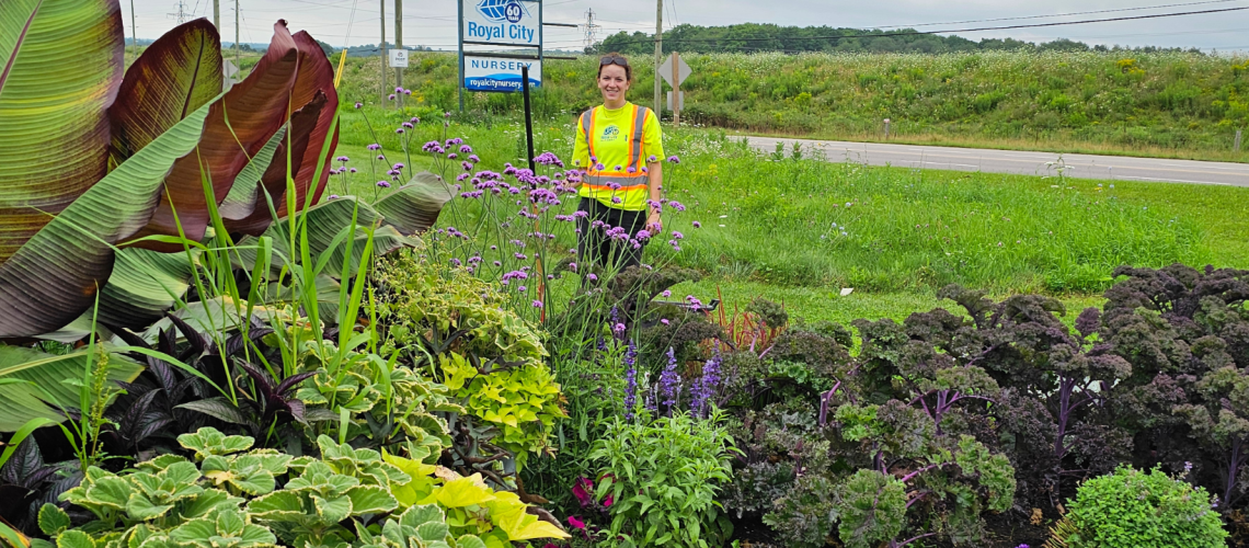 Royal City Nursery Landscape Solutions