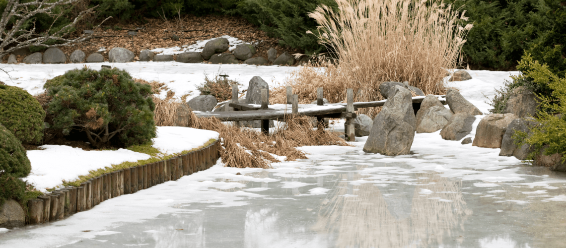 TITLE_ FROZEN GARDEN POND