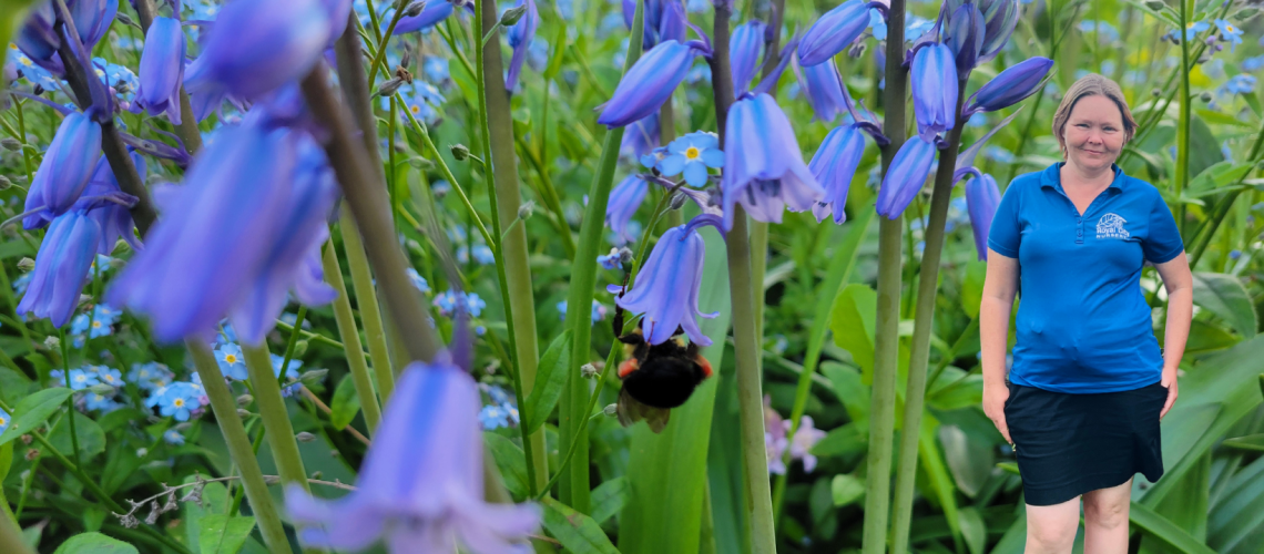 Blog Title Image Bumble Bee