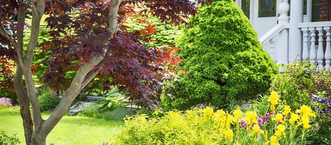 royal-city-nursery-amazing-gifts-for-green-thumb-dads-landscaping