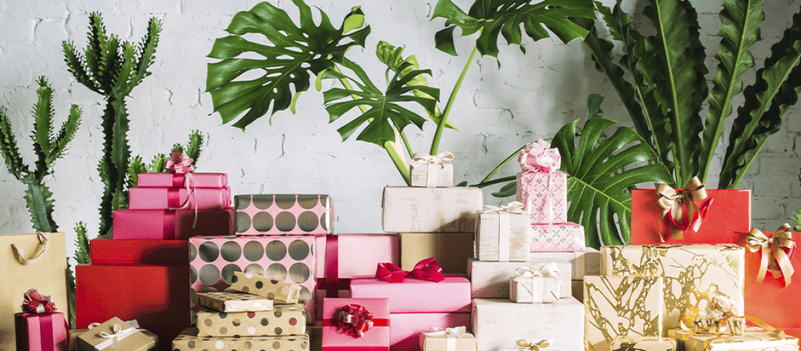 royal city nursery guelph giving guide 2019 home garden more