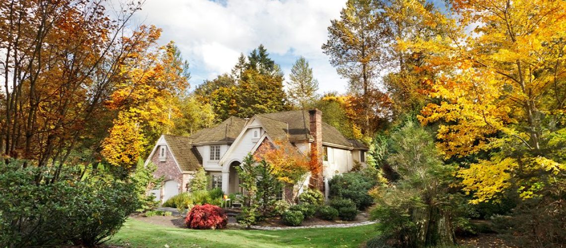 planning for fall planting and colour royal city nursery guelph