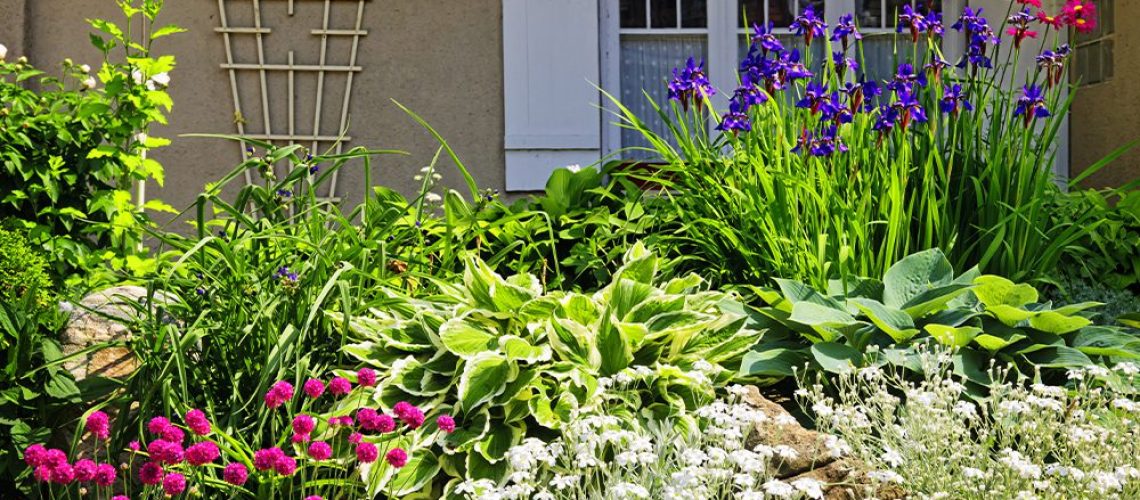 royal-city-nursery-top-tips-for-a-gorgeous-summer-landscape-front-yard-garden