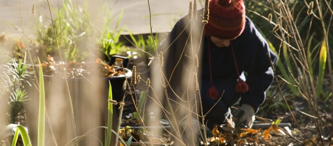 shutterstock_356080496-edited