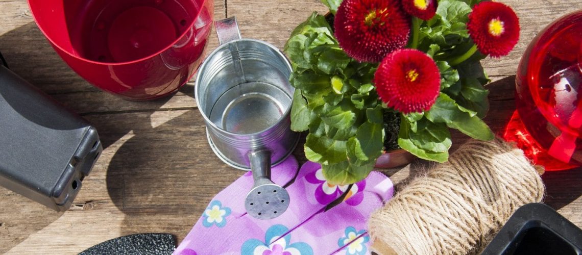 shutterstock_401083138-edited